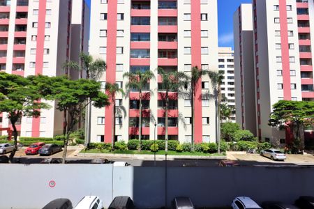 Quarto 1 Vista  de apartamento para alugar com 3 quartos, 70m² em Planalto, São Bernardo do Campo