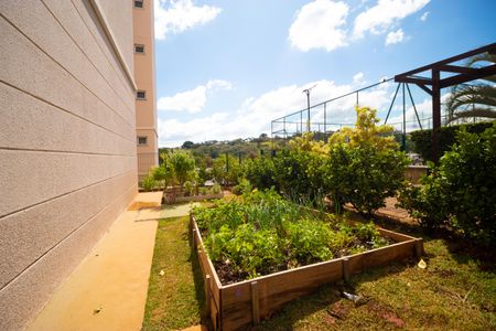 Apartamento para alugar com 62m², 2 quartos e 2 vagasÁrea comum - horta