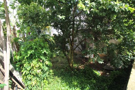 Casa à venda com 316m², 4 quartos e 3 vagasQuintal/Piscina/Jardim