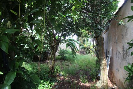 Casa à venda com 316m², 4 quartos e 3 vagasQuintal/Piscina/Jardim