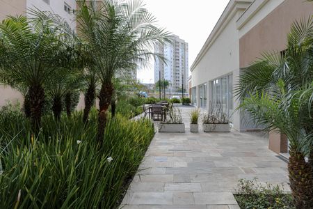 Apartamento para alugar com 74m², 3 quartos e 2 vagas Apartamento para alugar com 74m², 3 quartos e 2 vagasÁrea Comum