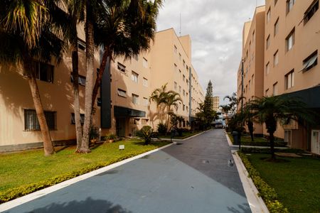 Apartamento para alugar com 53m², 2 quartos e 1 vaga Apartamento para alugar com 53m², 2 quartos e 1 vagaÁrea comum