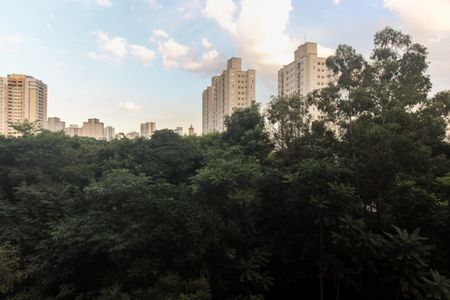 Apartamento para alugar com 52m², 2 quartos e 1 vagaVaranda - Vista 