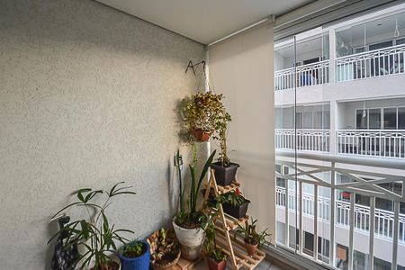 Sacada de apartamento à venda com 2 quartos, 77m² em Jardim das Acacias, São Bernardo do Campo