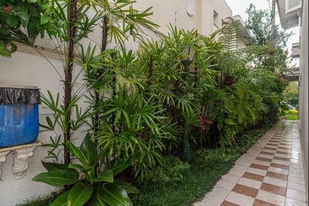 Casa à venda com 250m², 4 quartos e 5 vagas Casa à venda com 250m², 4 quartos e 5 vagasJardim lateral da casa