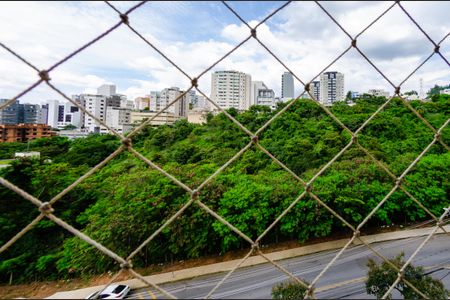 Vista de apartamento para alugar com 3 quartos, 85m² em Buritis, Belo Horizonte
