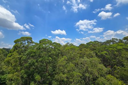 Apartamento para alugar com 55m², 2 quartos e 1 vaga Apartamento para alugar com 55m², 2 quartos e 1 vagaVista - Suíte