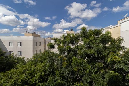 Vista Quarto 1 de apartamento para alugar com 2 quartos, 42m² em Itaim Paulista, São Paulo