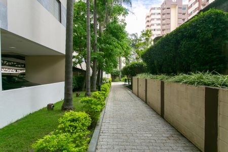 Apartamento para alugar com 60m², 2 quartos e 1 vagaÁrea comum 
