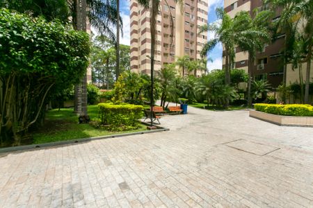 Apartamento para alugar com 60m², 2 quartos e 1 vagaÁrea comum 