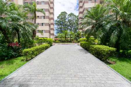 Apartamento para alugar com 60m², 2 quartos e 1 vagaÁrea comum 