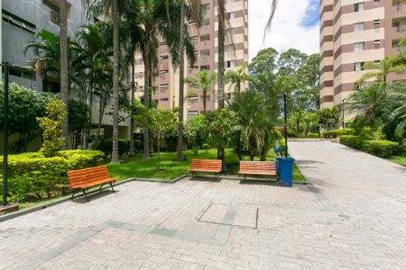 Apartamento para alugar com 60m², 2 quartos e 1 vagaÁrea comum 