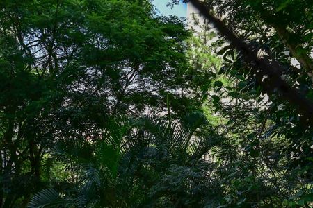 Vista do Quarto 1 de apartamento à venda com 3 quartos, 64m² em Morumbi, São Paulo