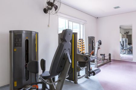 Apartamento para alugar com 54m², 2 quartos e 1 vaga Apartamento para alugar com 54m², 2 quartos e 1 vagaÁrea comum - Academia