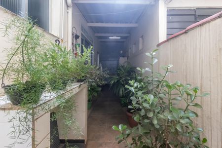 Apartamento à venda com 112m², 3 quartos e 1 vagaQuintal