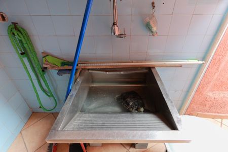 Casa para alugar com 55m², 1 quarto e sem vagaÁrea de serviço