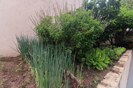 Apartamento à venda com 52m², 2 quartos e 1 vagaÁrea Comum - Horta 