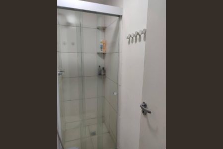 Banheiro de apartamento para alugar com 2 quartos, 43m² em Santo Cristo, Rio de Janeiro