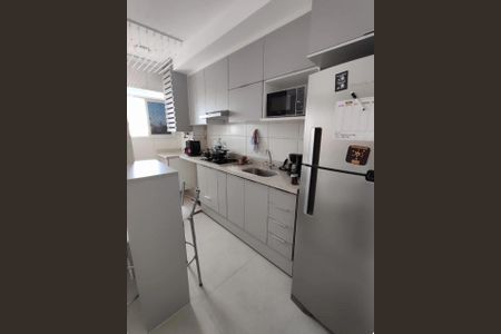 Cozinha de apartamento para alugar com 2 quartos, 43m² em Santo Cristo, Rio de Janeiro