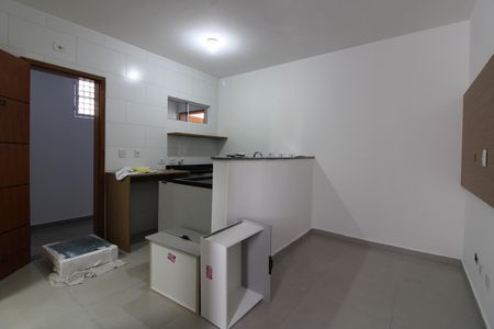Sala / quarto de kitnet/studio para alugar com 1 quarto, 20m² em Vila Marieta, São Paulo