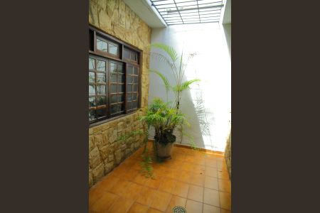 Casa para alugar com 225m², 3 quartos e 3 vagasJardim de Inverno 