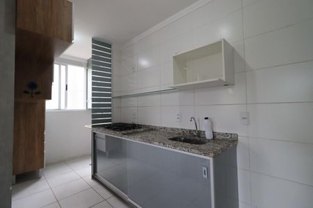 Cozinha de apartamento para alugar com 2 quartos, 49m² em Adelino Simioni, Ribeirão Preto