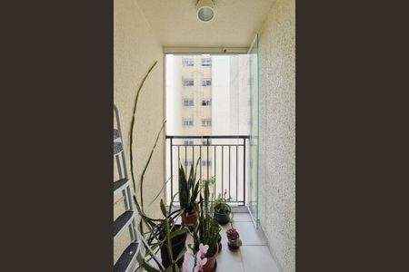 Varanda da Sala de apartamento à venda com 2 quartos, 48m² em Planalto, São Bernardo do Campo