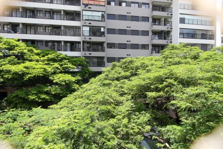 Vista do Quarto 1 de apartamento para alugar com 2 quartos, 55m² em Butantã, São Paulo