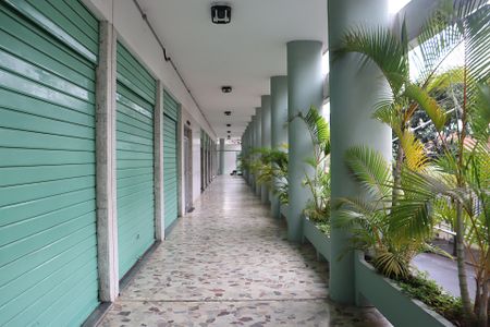 Apartamento para alugar com 96m², 3 quartos e sem vagaHall Entrada