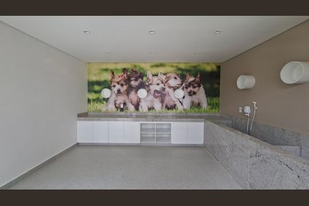 Apartamento para alugar com 63m², 1 quarto e 1 vagaarea de lazer / condominio