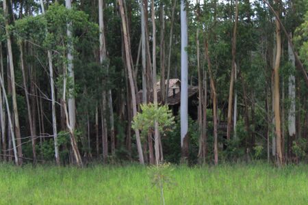 Vista do Quarto 1 de casa de condomínio para alugar com 2 quartos, 83m² em Bairro Jardim Nossa Senhora das Graças, Cotia