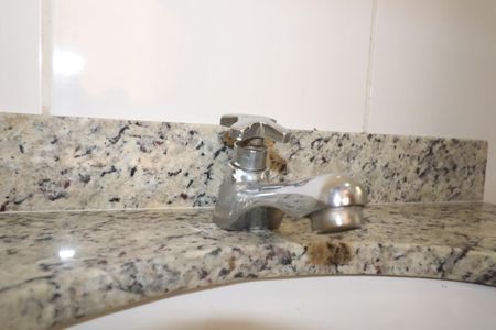 Apartamento à venda com 45m², 2 quartos e 1 vagaBanheiro