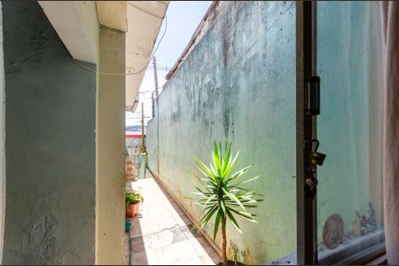 Sala - Janela de casa para alugar com 3 quartos, 120m² em Vila Nina, São Paulo