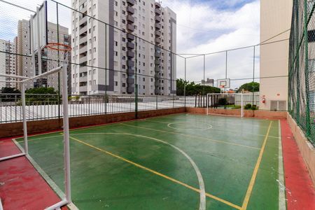 Apartamento para alugar com 67m², 3 quartos e 1 vaga Apartamento para alugar com 67m², 3 quartos e 1 vagaQuadra