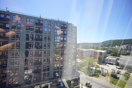 Studio para alugar com 31m², 1 quarto e sem vagaVista