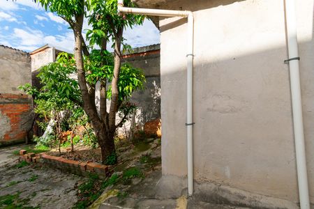 Casa para alugar com 55m², 2 quartos e sem vaga Casa para alugar com 55m², 2 quartos e sem vagaQuintal/Jardim