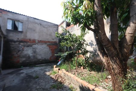 Casa para alugar com 55m², 2 quartos e sem vagaQuintal