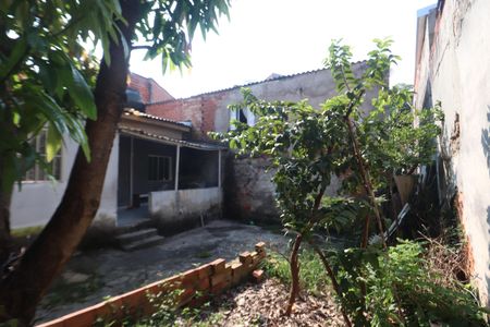 Casa para alugar com 55m², 2 quartos e sem vagaQuintal