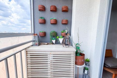 Apartamento para alugar com 1 quarto, 50m² em Vila Santa Catarina, São Paulo