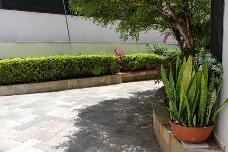 Apartamento para alugar com 214m², 3 quartos e 3 vagasÁrea comum