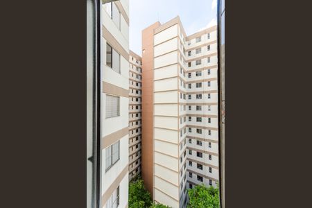 Apartamento para alugar com 65m², 2 quartos e 1 vagaÁrea de Serviço - Janela