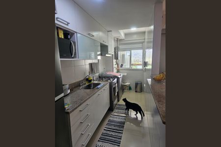 Apartamento para alugar com 74m², 2 quartos e 1 vaga Apartamento para alugar com 74m², 2 quartos e 1 vagaCozinha