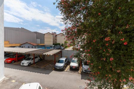 Vista da sala de apartamento para alugar com 2 quartos, 64m² em Vila Francos, São Paulo