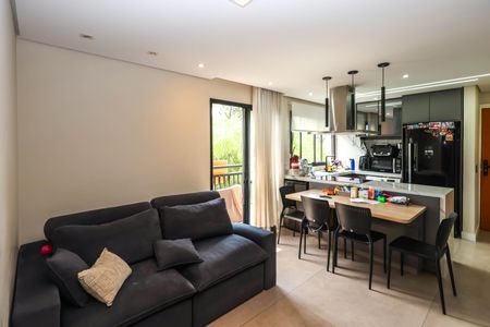 Sala de apartamento à venda com 2 quartos, 47m² em Vila Moinho Velho, São Paulo