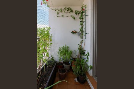 Varanda da Sala de apartamento à venda com 4 quartos, 96m² em Vila Sonia, São Paulo