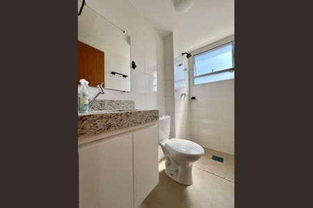 Banheiro de apartamento para alugar com 2 quartos, 52m² em Residencial Villa Garden, Campinas