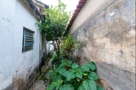 Casa à venda com 300m², 3 quartos e 1 vaga
