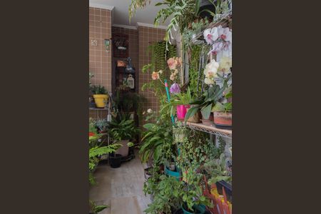 Varanda de apartamento à venda com 3 quartos, 92m² em Baeta Neves, São Bernardo do Campo