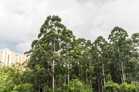 Apartamento à venda com 84m², 2 quartos e 2 vagas Apartamento à venda com 84m², 2 quartos e 2 vagasVista da Varanda