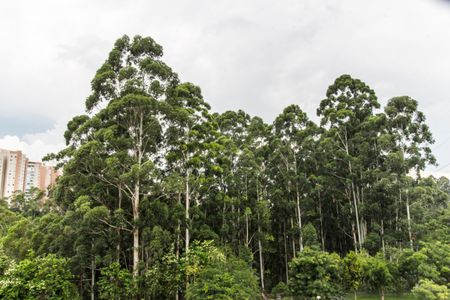 Apartamento à venda com 84m², 2 quartos e 2 vagas Apartamento à venda com 84m², 2 quartos e 2 vagasVista do Quarto 2